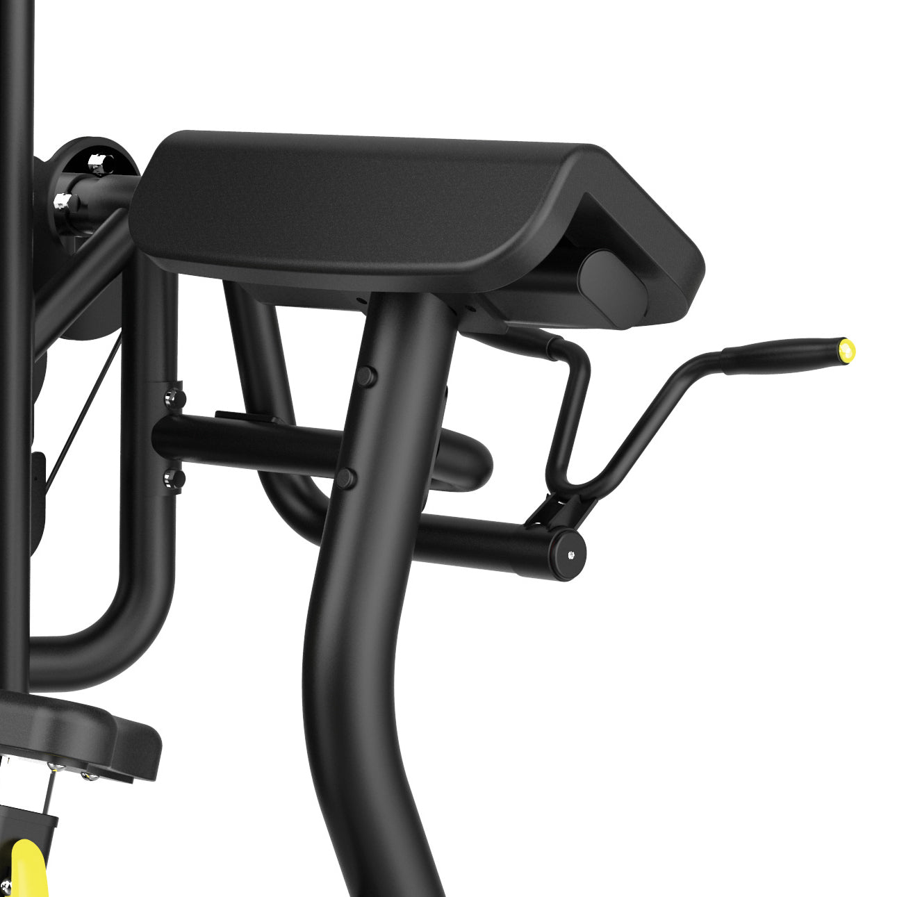 BICEPS CURL PLX-3800