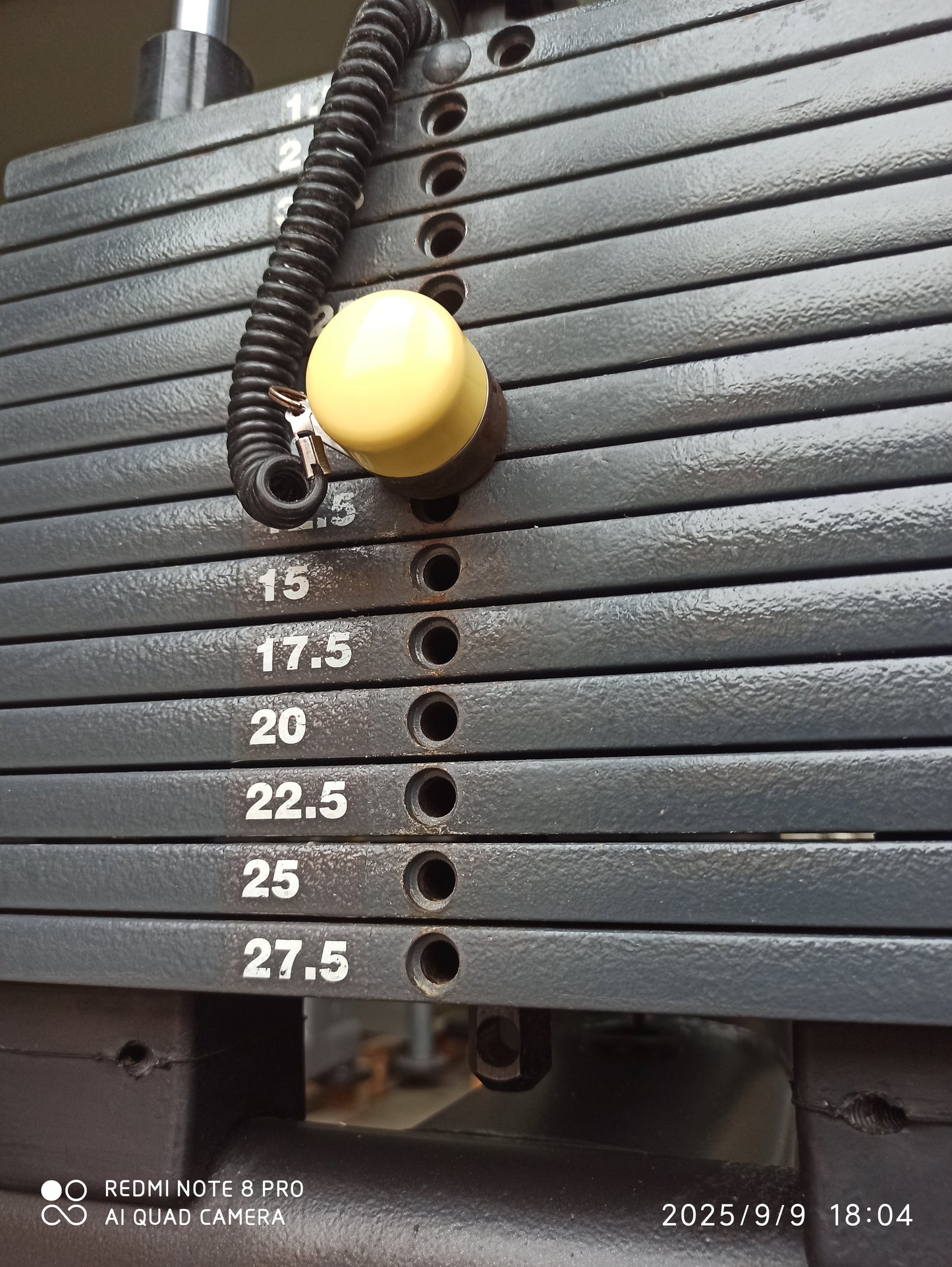 Technogym ERCOLINA Selection