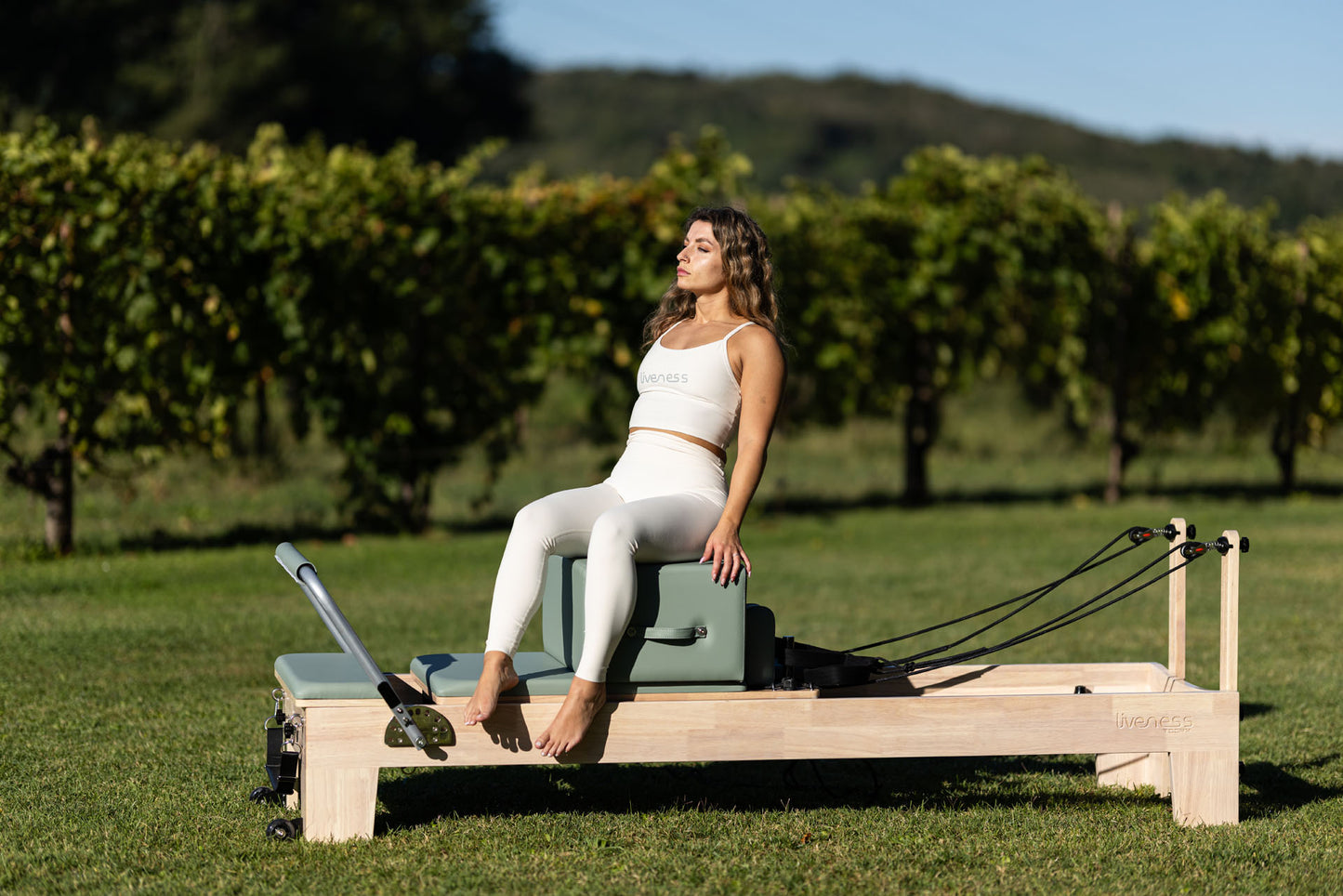Toorx REFORMER PTX 5000G