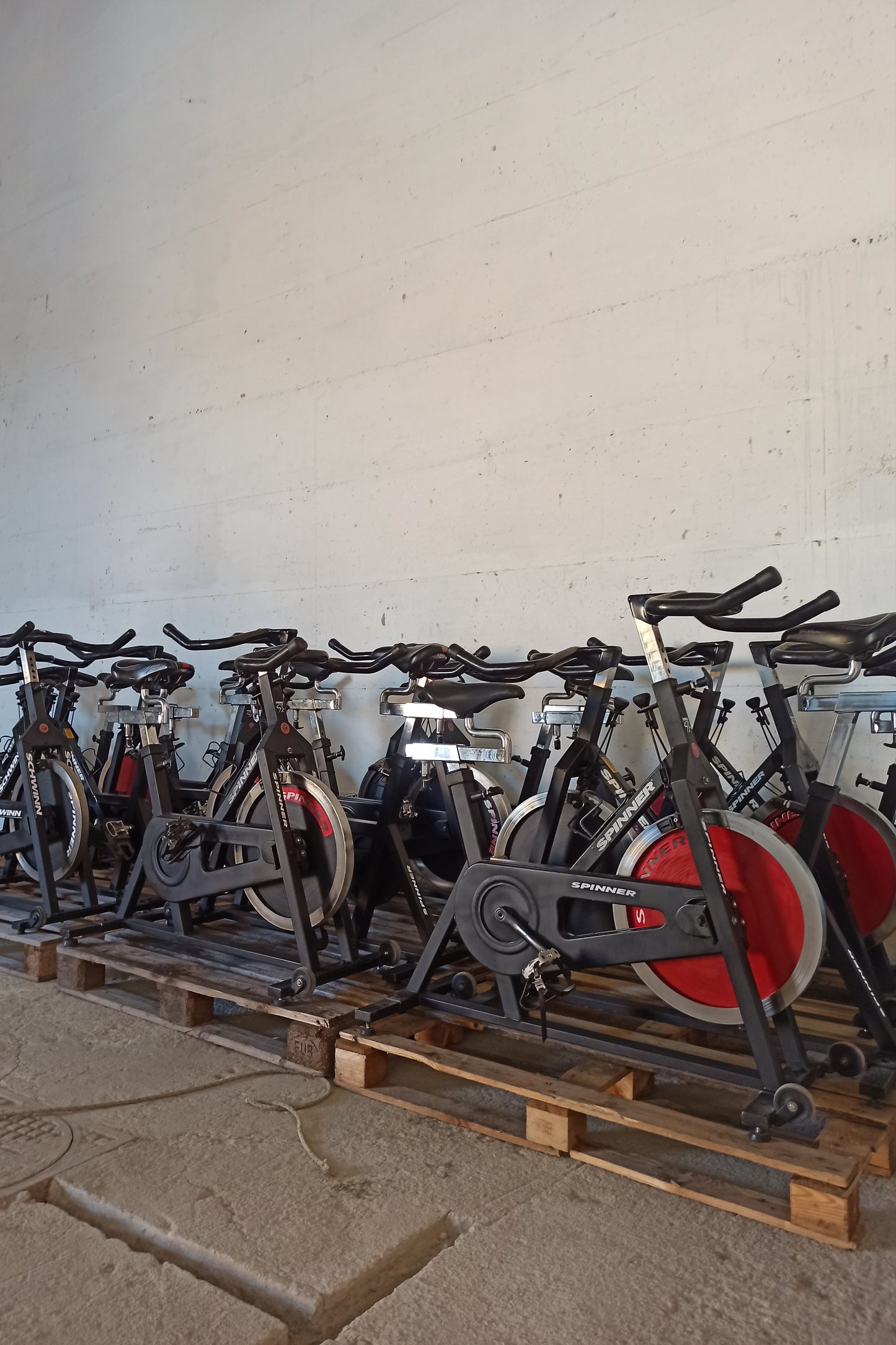 SPINNING BIKE IC PRO
