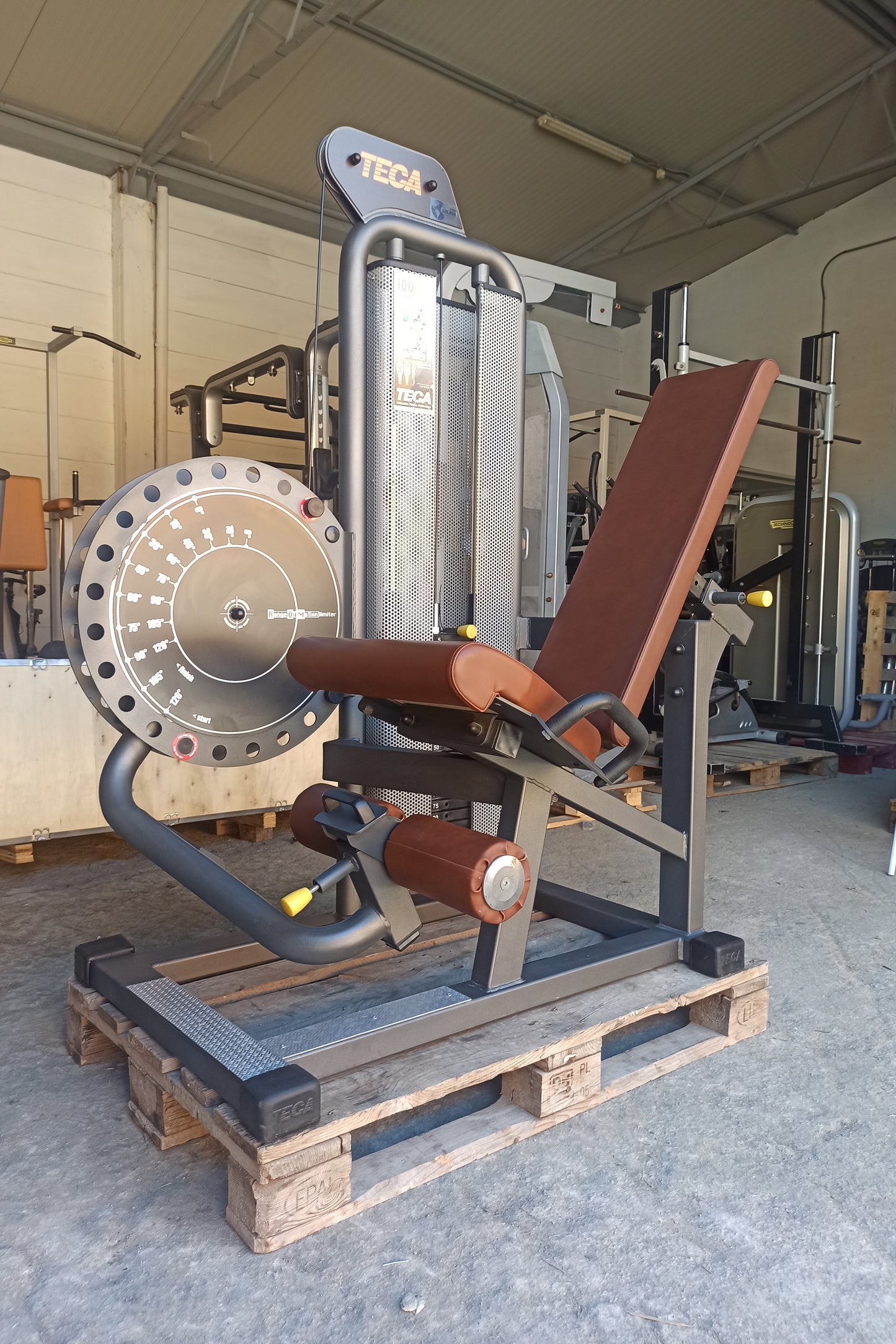 Teca LEG EXTENSION