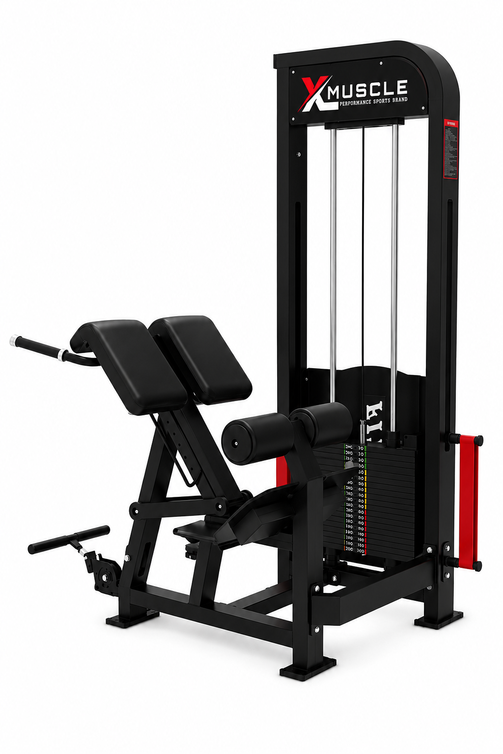 XL MUSCLE LOADED BACK EXTENSION PRO Express XL003-EXP
