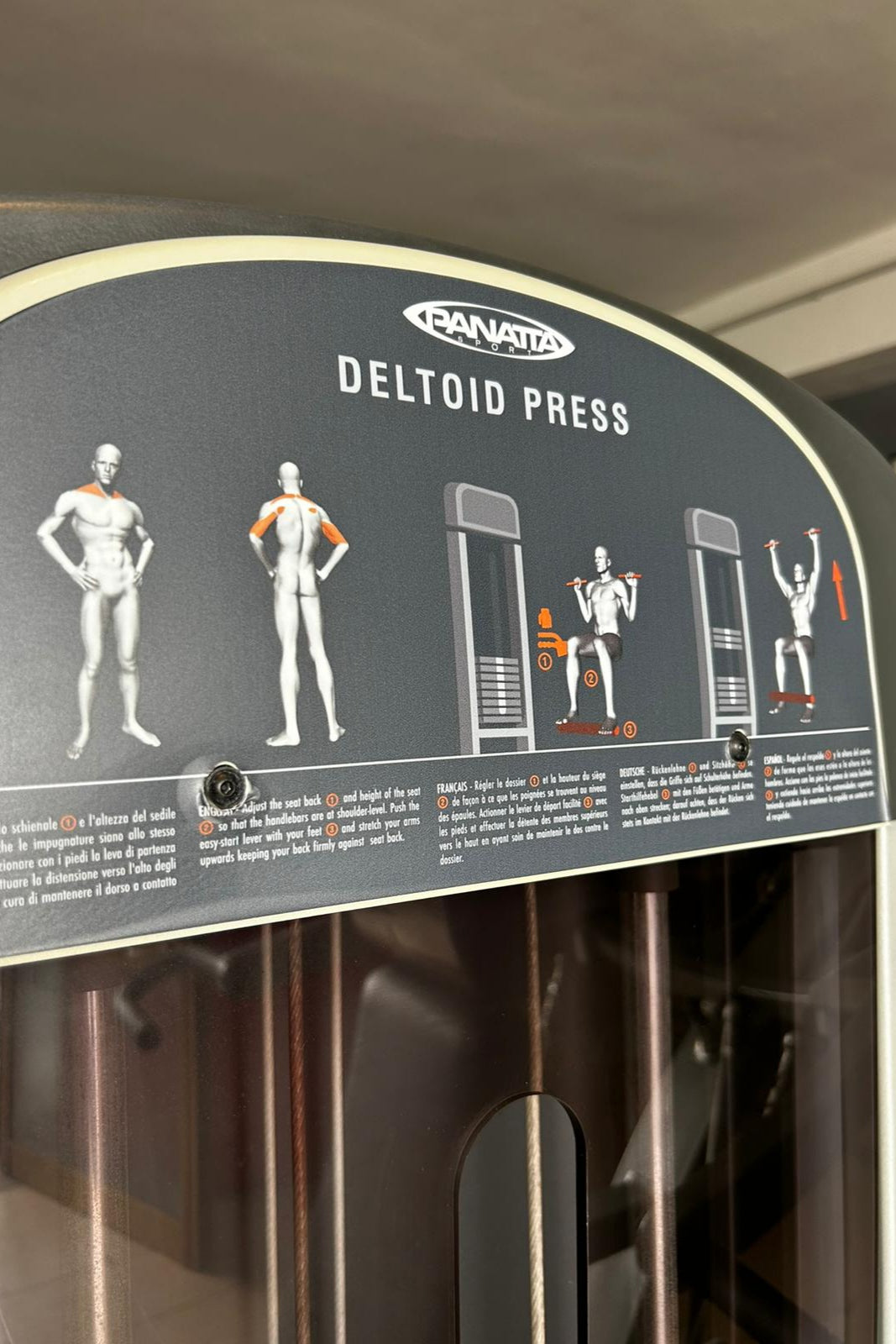 DELTOID PRESS X-Pression