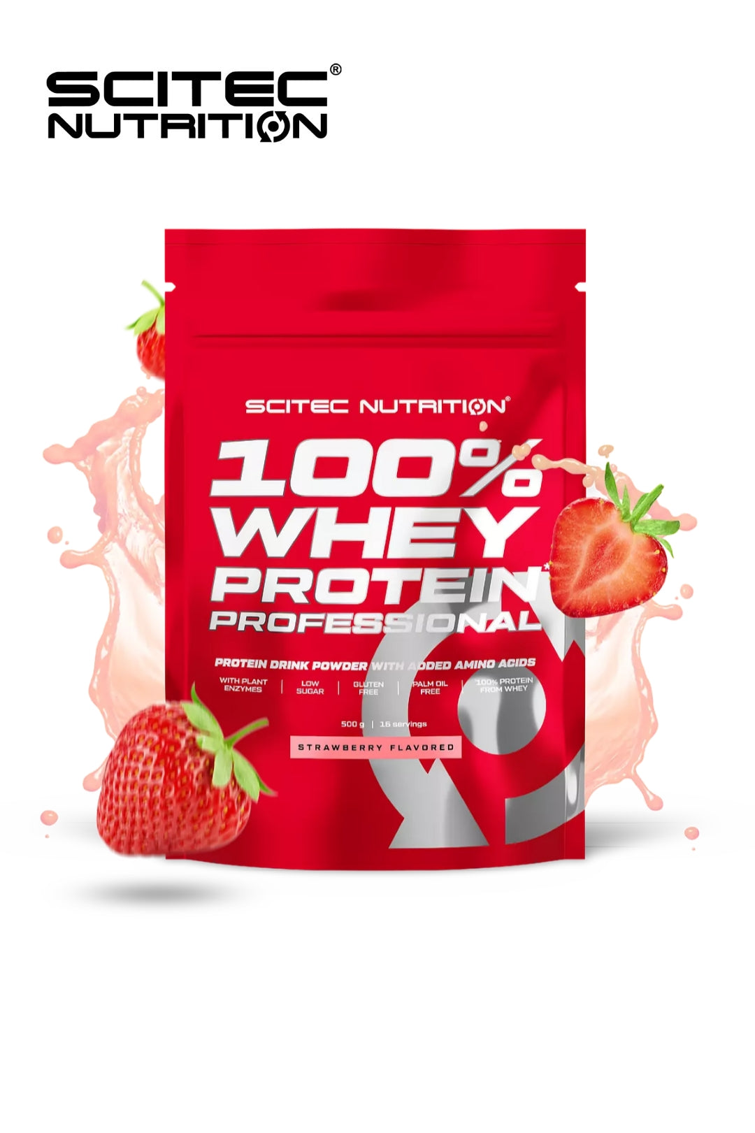 WHEY PROTEIN Professional 500g