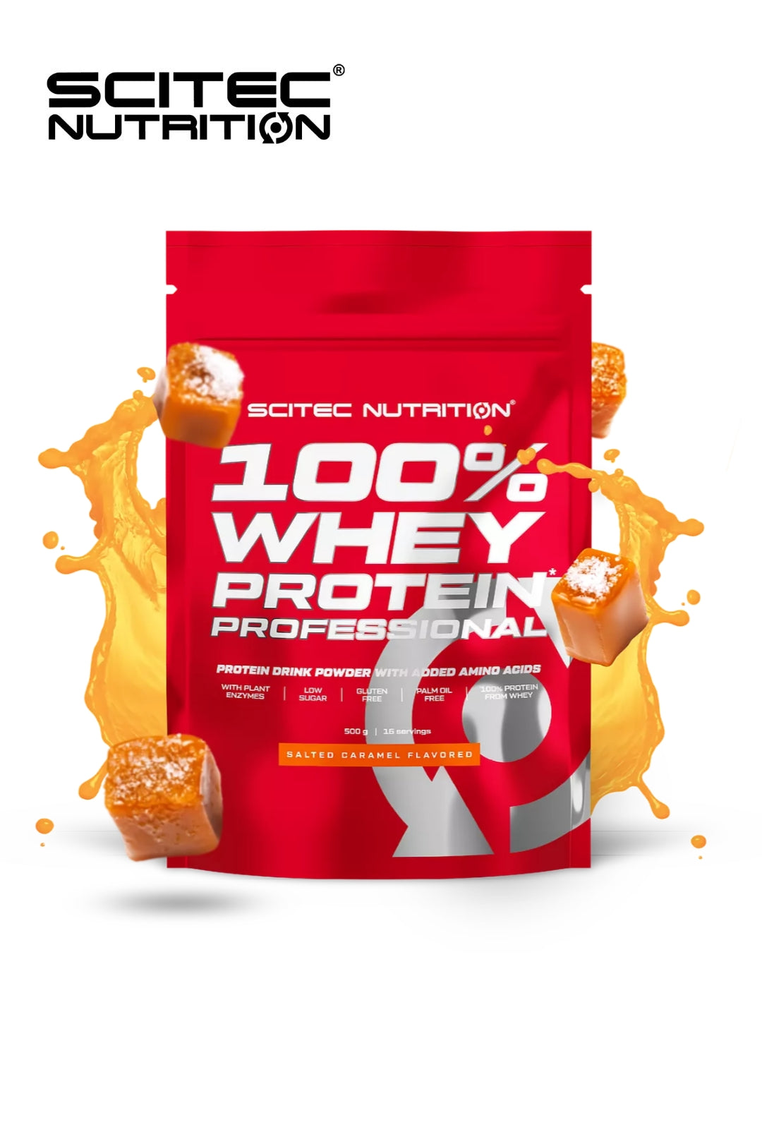 WHEY PROTEIN Professional 500g