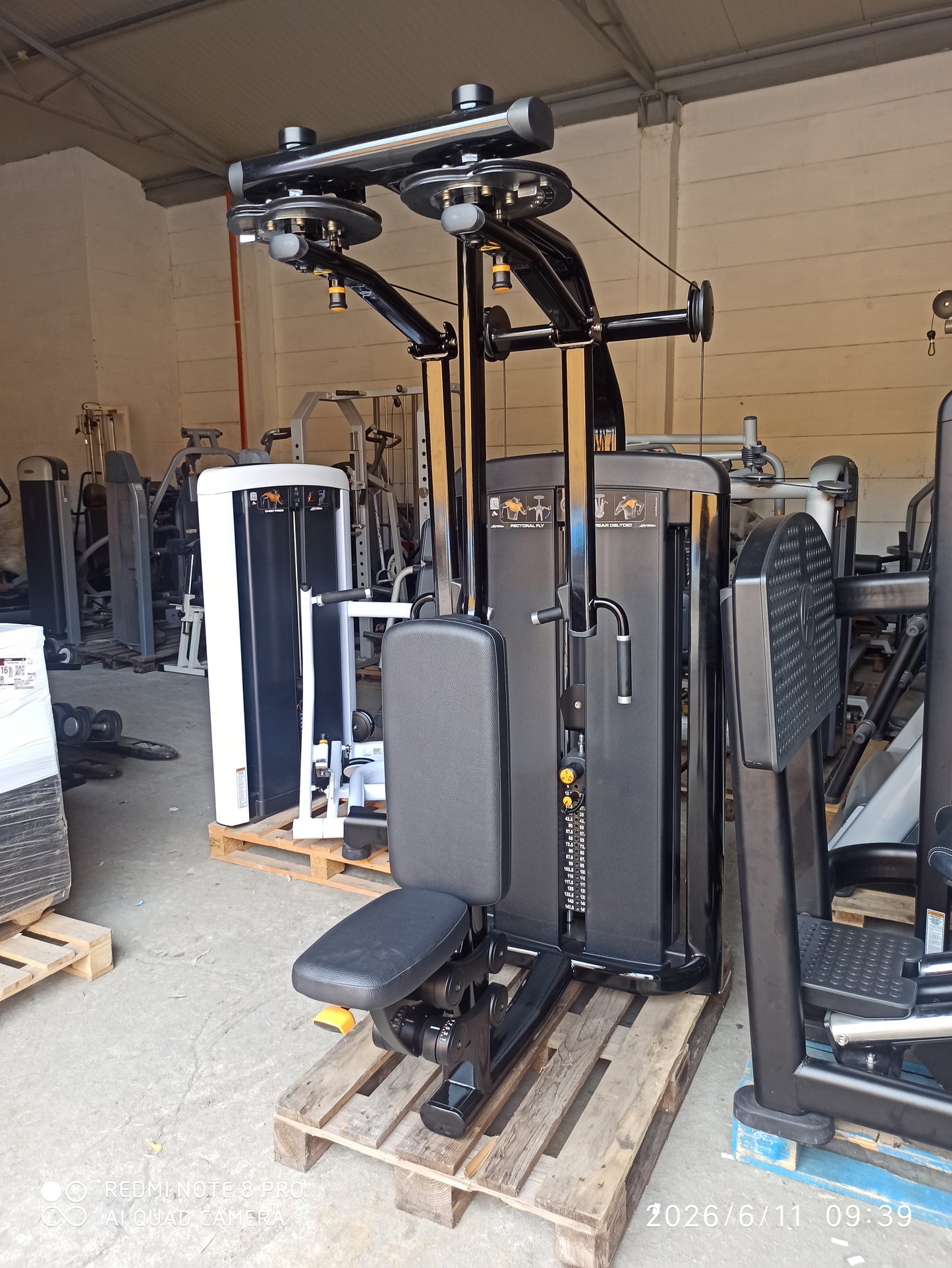 Life Fitness PECK FLY REAR DELT Insignia