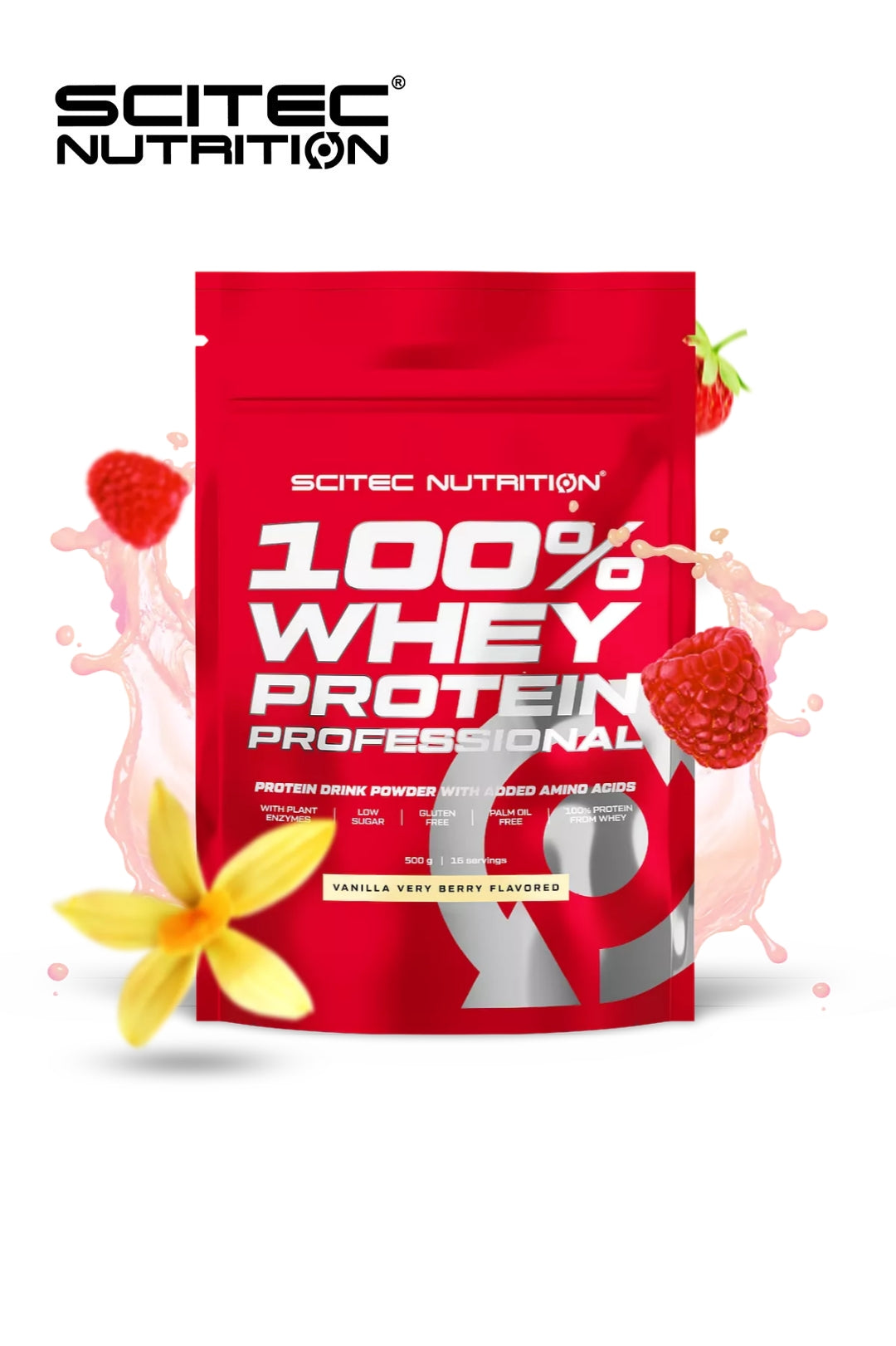 WHEY PROTEIN Professional 500g